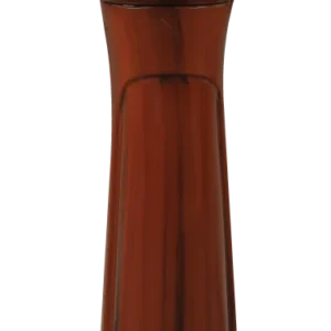 RANI 117